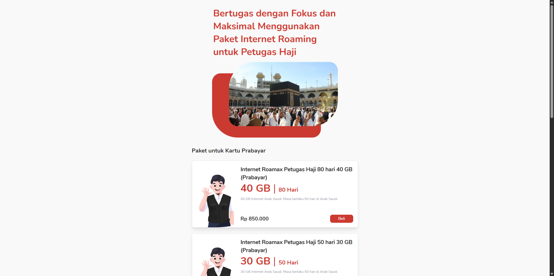 International Roaming Web